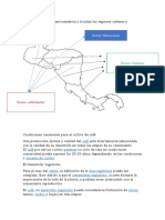 Zonas Cafetaleras de Centroamerica Con Mapa