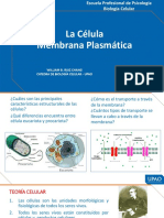 Sesión 04 - Biología Celular