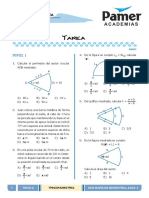 Tarea - Sector Circular