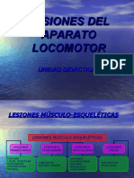 Ud7 Lesiones Del Aparato Locomotor