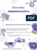 Dcho Adtivo - Copia 4