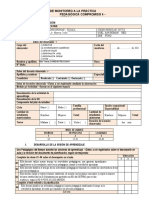 Ficha de Monitoreo A La Practica Pedagogica Cge4 Cetpro PDF 2016