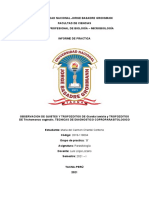 INFORME N°3 OBSERVACION DE QUISTES Y TROFOZOITOS DE Giardia Lamblia y TROFOZOITOS DE Trichomonas Vaginalis. TECNICAS DE DIAGNOSTICO COPROPARASITOLOGICO