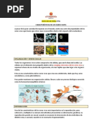 Ficha Lectura Característica Seres Vivos