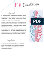 Sistema Circulatorio Anatomía