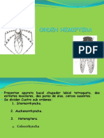 Clase 6.HEMIPTERO