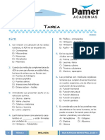 BIO - Sem2 - Proteínas, Enzimas y Ácidos Nucleicos