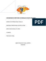 Proyecto Derecho Internacional