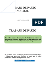 Trabajo de Parto 20