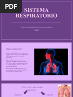 Sistema Respiratorio