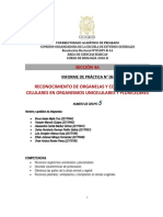 Sem 6 - Tarea 6 - Practica - Cel - Organelas - 2020-II - Gabvf