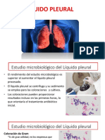 Diapositiva Modulo Vii