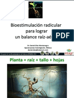 Bioestimulacion Radical para Lograr Un Balance Raiz-Parte Aerea (Diaz)