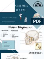 Inervación de Los Pares Craneales V y VII