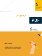 Sesión 05 - LA CÉLULA Propiedades Eucariota y Procariota Estructuras