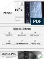 Angiografía Renal