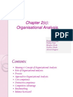 Organisational Analysis