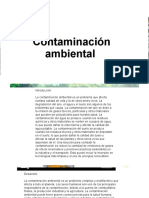 Copia de Contaminación Ambiental