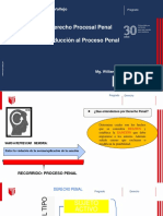 Sesión 1. Introducción Al Proceso Penal