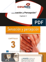 2.2 Sensación y Percepcion