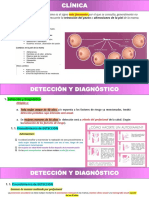 Clinica Diagnostico Birads Mama