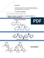 Laboratorio de Bioquímica Cuestionario N°6