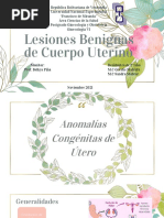 Lesiones Benignas de Cuerpo Uterino