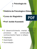 Assimilacao e Adpatacao