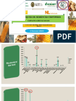 Statistiques de Semences 2020 - 2021