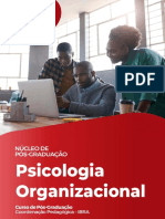 Psicologia Organizacional Diagramada