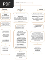 Mapa Conceptual Unidad 2..