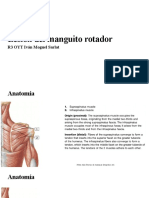 Manguito Rotador