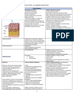 Resumen Mesoterapia - Aplicacion Medicamentos - Anestesia - Biotipo