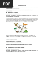 Prueba Diagnostica Indaga. 2023