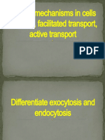 4.transport Mechanisms