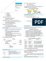 Nucleic Acids Vitamins Digestion and Enzymes