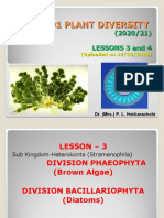 BOT 1201 Lesson 3 and 4 (Algae) 2023