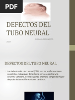 Defectos Del Tubo Neural