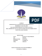 Laporan Analisis Pengembangan Paud 2023.falencia.p.makawimbang