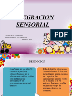 Integracion Sensorial