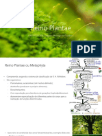 Reino Plantae