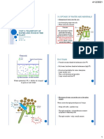 Unit 3 Transport of Water and Food in The Plant