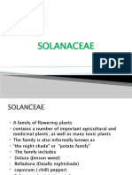 Solanacea