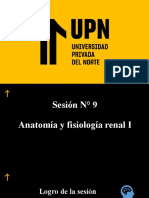 9 Clase Semana - Anatomía y Fisiología Renal I