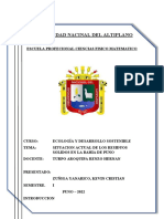 Informe de La Bahia Puno