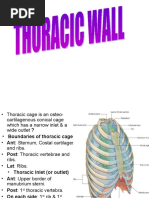 15-Thoracic Wall