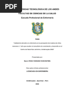 Calidad de Atención en Enfermería en La Percepción de Madres-Vasquez Chachayma, Rosa