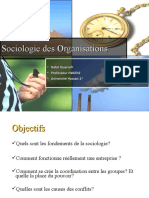 SociologieOrganisations 1