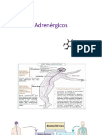 Adrenergic Os