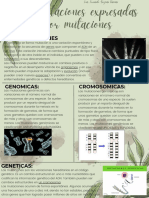 Manifestaciones Expresadas Por Mutaciones